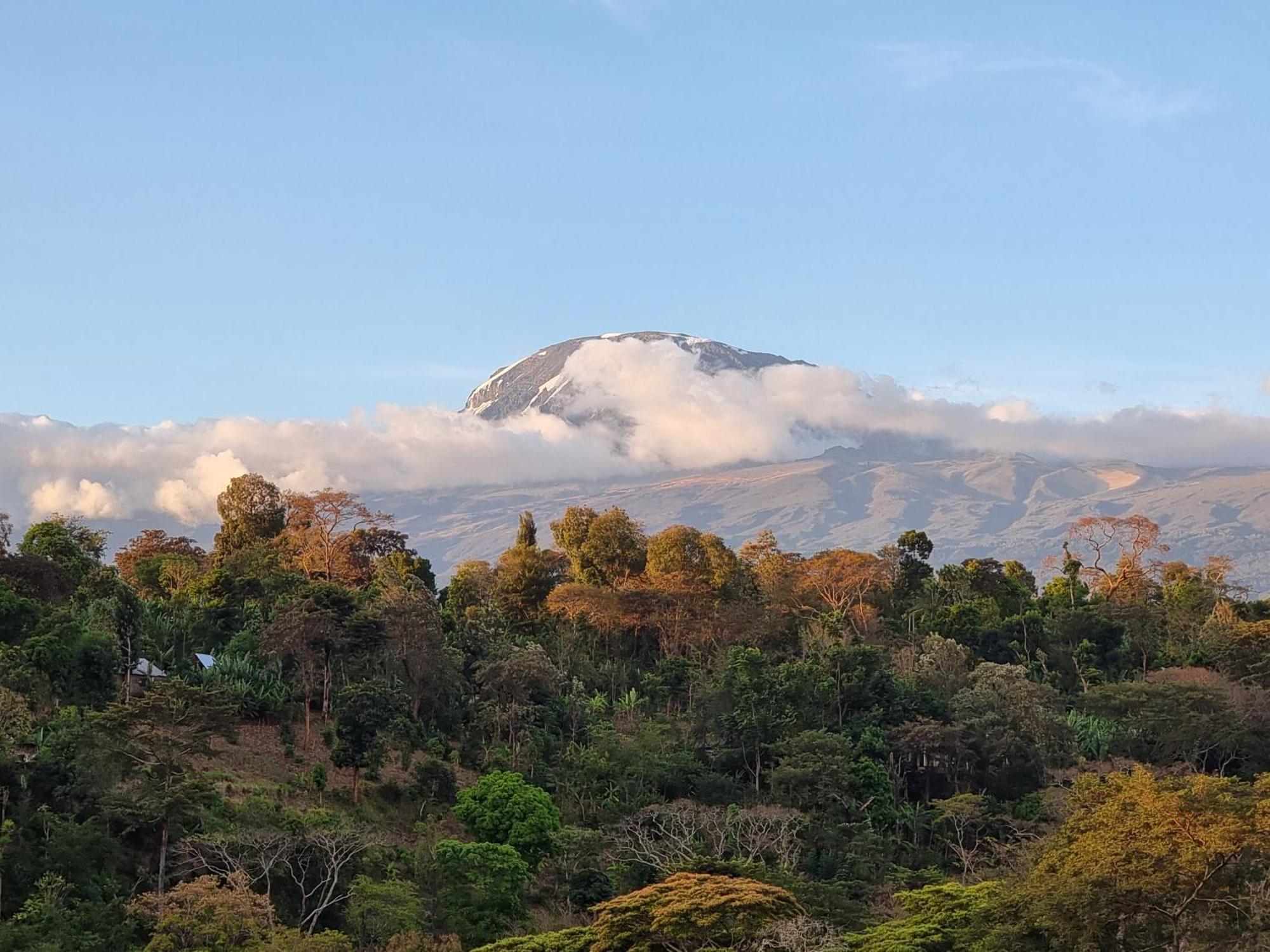 Kisanga Homestay モシ エクステリア 写真